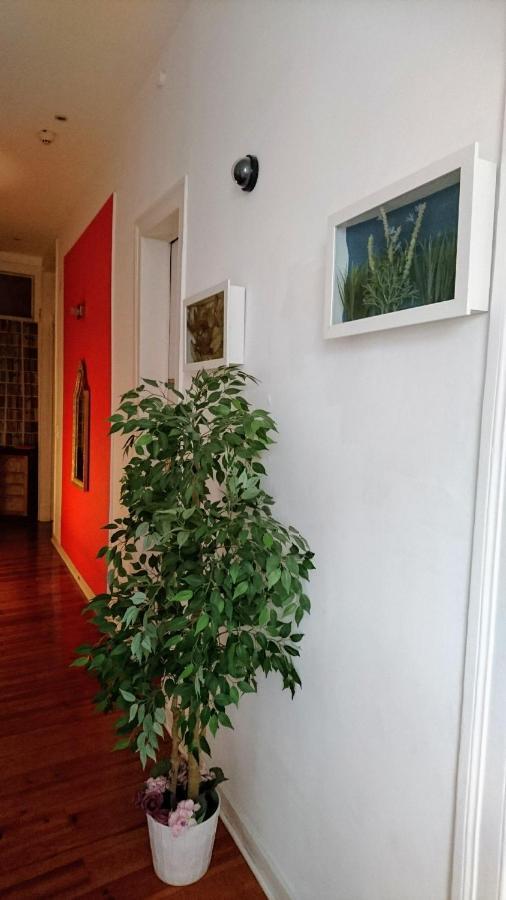 No Limit Alfama Guesthouse Lisboa Екстериор снимка